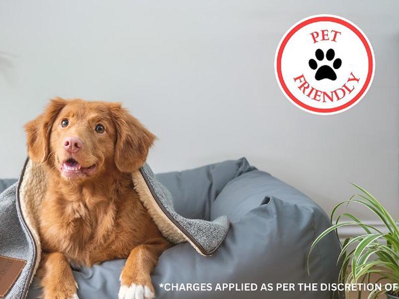 BBD0A07E743023B9047E13F00A589877