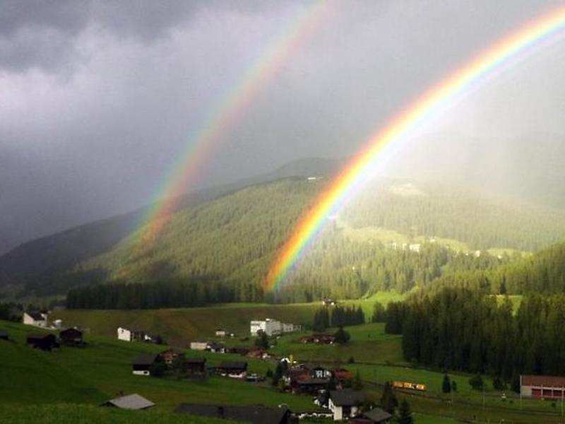 9F08063DD425F8993966B1095248D623