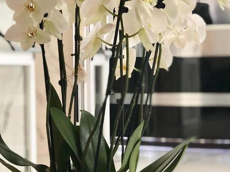 EC368F02CF10986BA68D9EA244F3587D