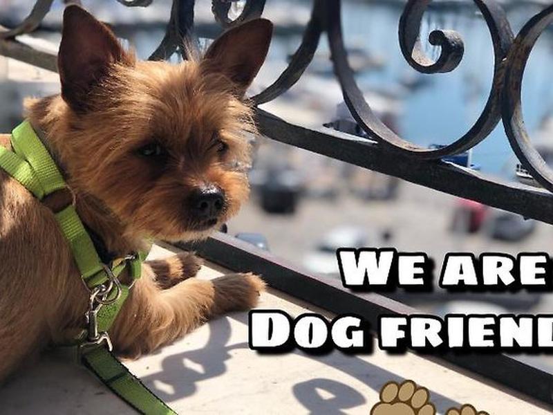 4521A15654FF580C8C67D46E720E1D34