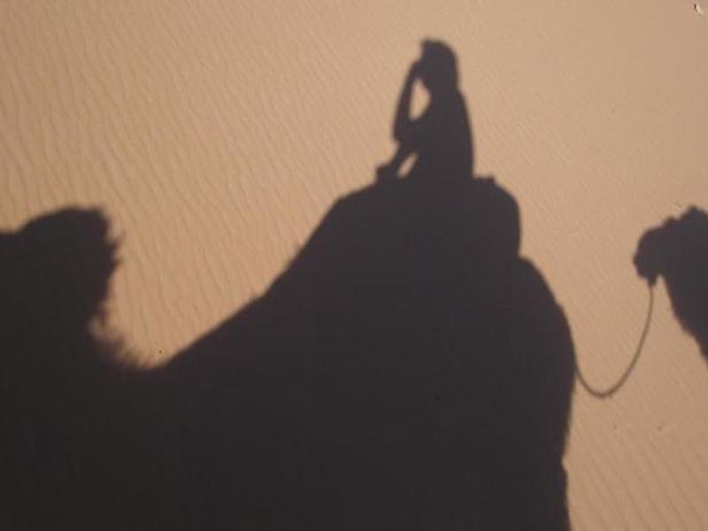 C83447B7A8AB0FC4C231366307B5537B