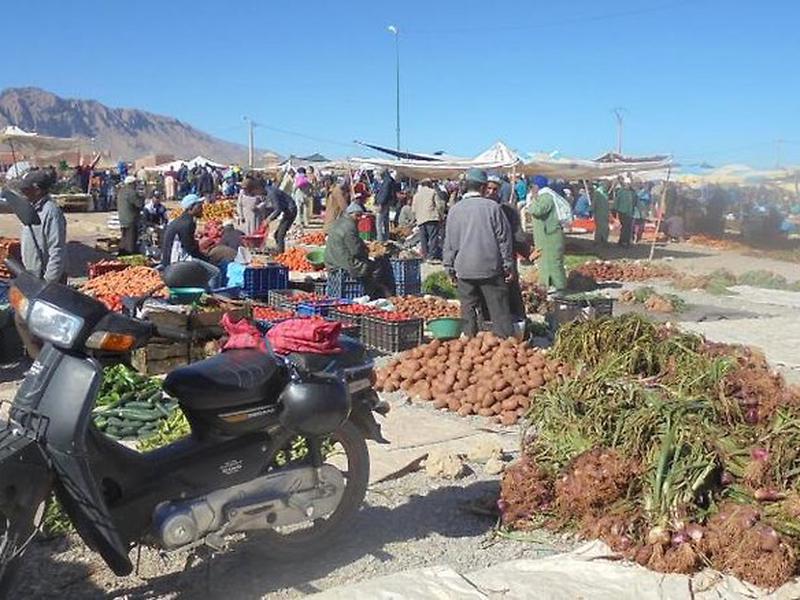 EA00FB054EA3B38F6BD1DC9AF8FD0242