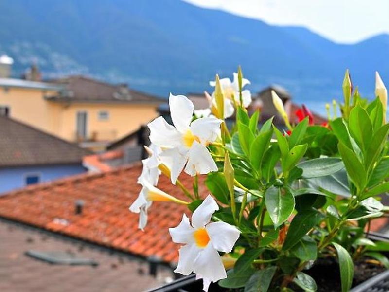 CAAEA4B839F85B014477E6E900F48C5B