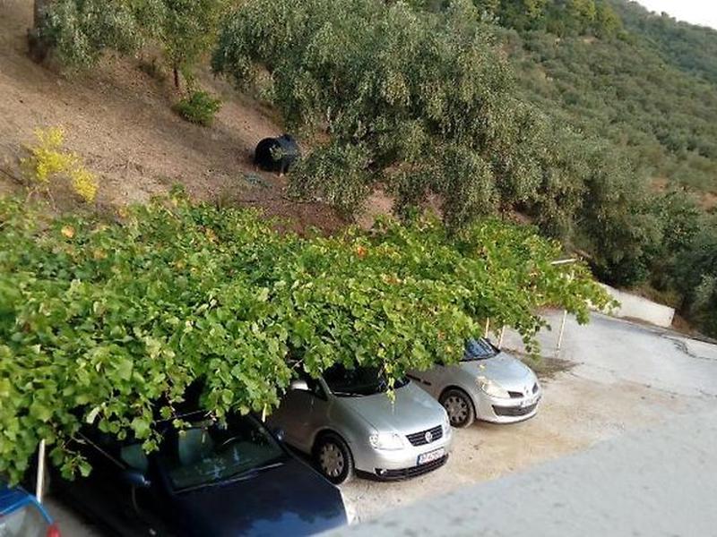 46FFF0897AA262D2DA3B81F2AA40A363