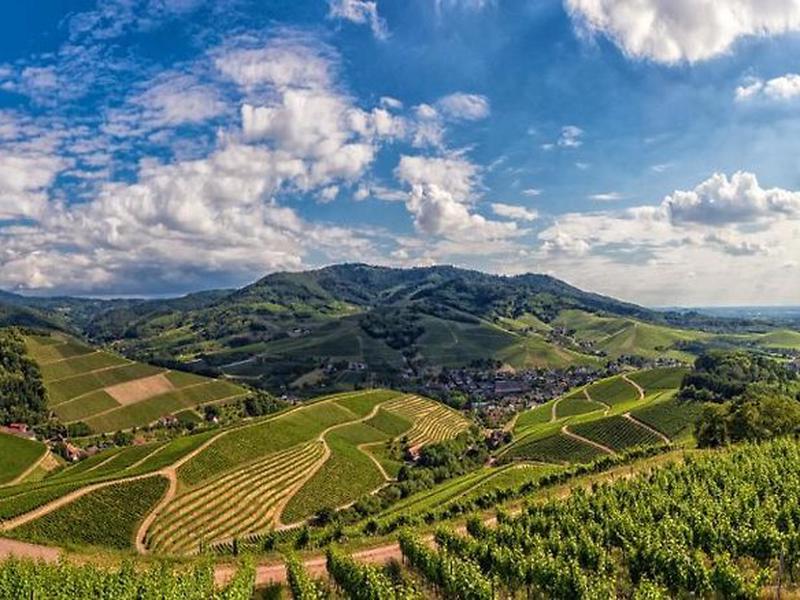 66853065D605D435F7FF43409DAD7AA1