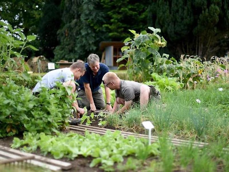 73919D1B4F7EA5C1F852741EC66AA812