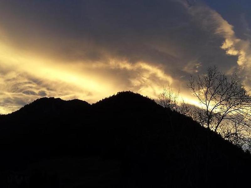 9A74E28FD14D59F6C28046C6682022FB