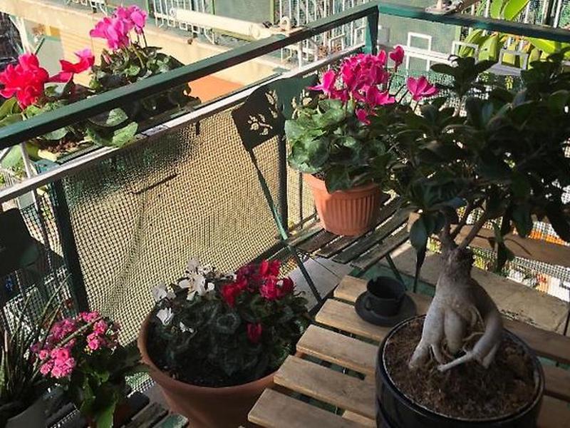 19E53A2BC083B247068CAFD6E253EAAA