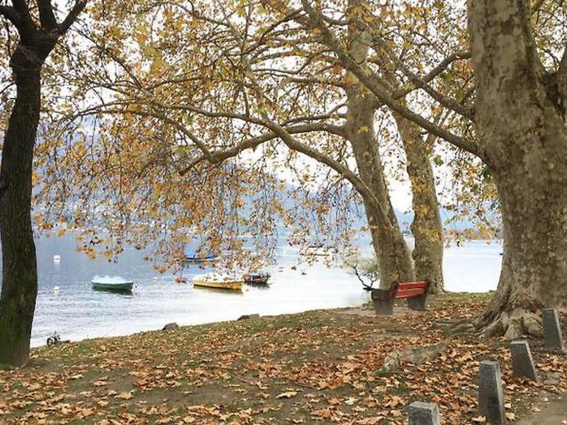 87A2072275FBAFEBD22A1B39EEF149CB