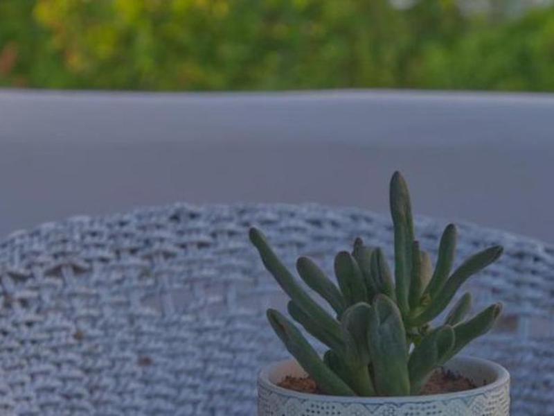 214630D7D2FBFE40922CEDED508341DE