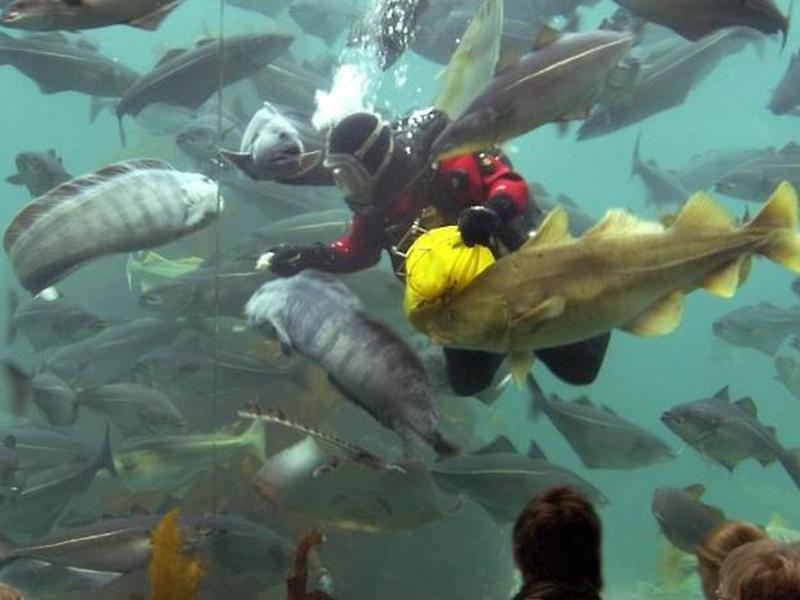 70181E6E5EC25A20200E3B3C73B1673E