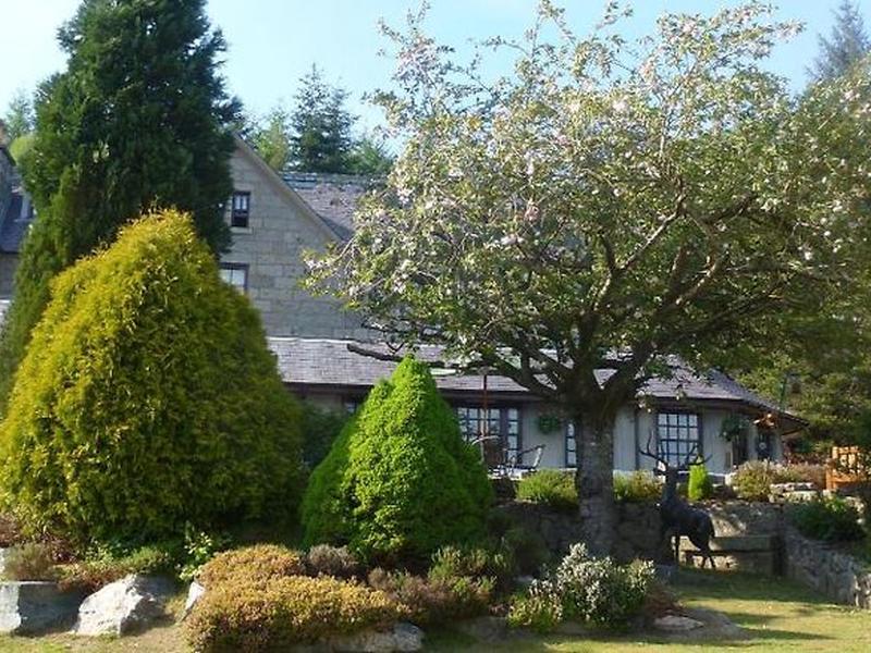 7C5C315AAE5E5FC1FA77BBDE0BE7F5A4