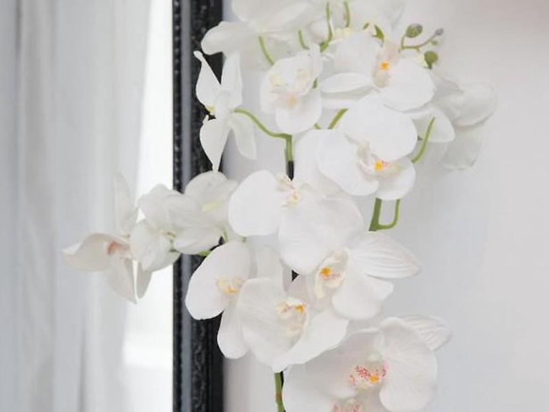 974E508B661B73C3F4D58BDD849E665D