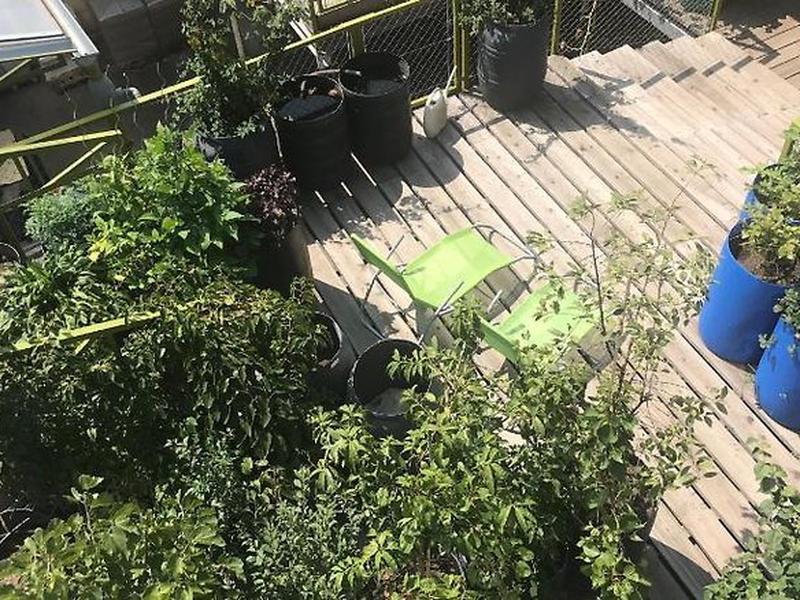 7942CC1D988B83086D72AD17BB8FC7BE