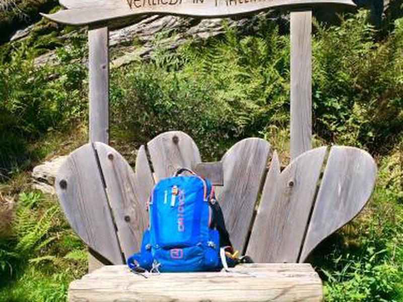 336CC69462A13BF125C537813929ED08