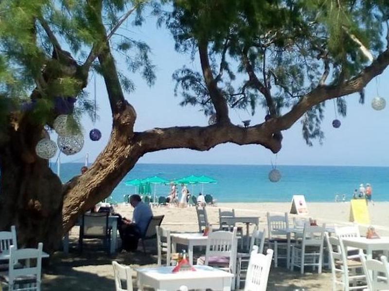 62319E52587EDD4E9852355571A764B0