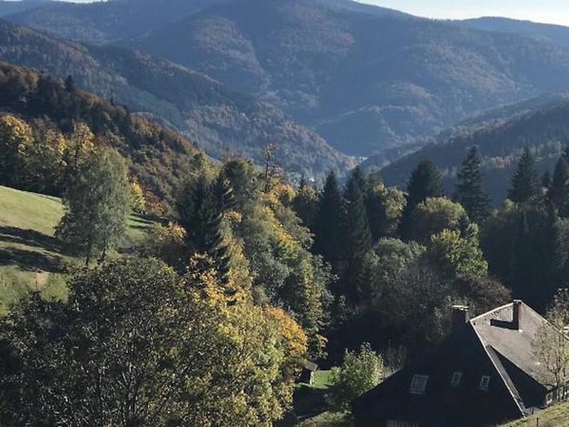 C5D5BCF4945A4BD1050D7EA4BDF2C5D5