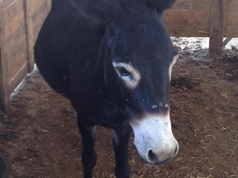 4B158210FF757EC630B0A2D0B23CB145