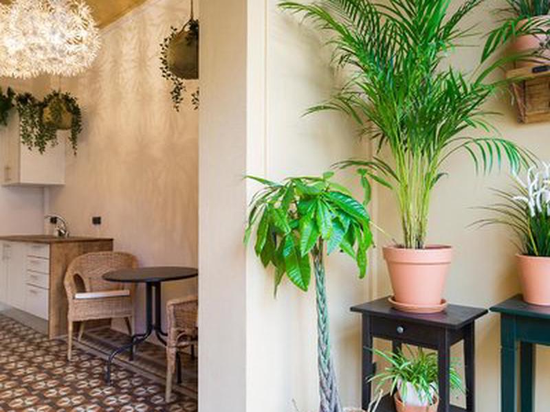 349EAC459B7BF27F4A2303771B689F51