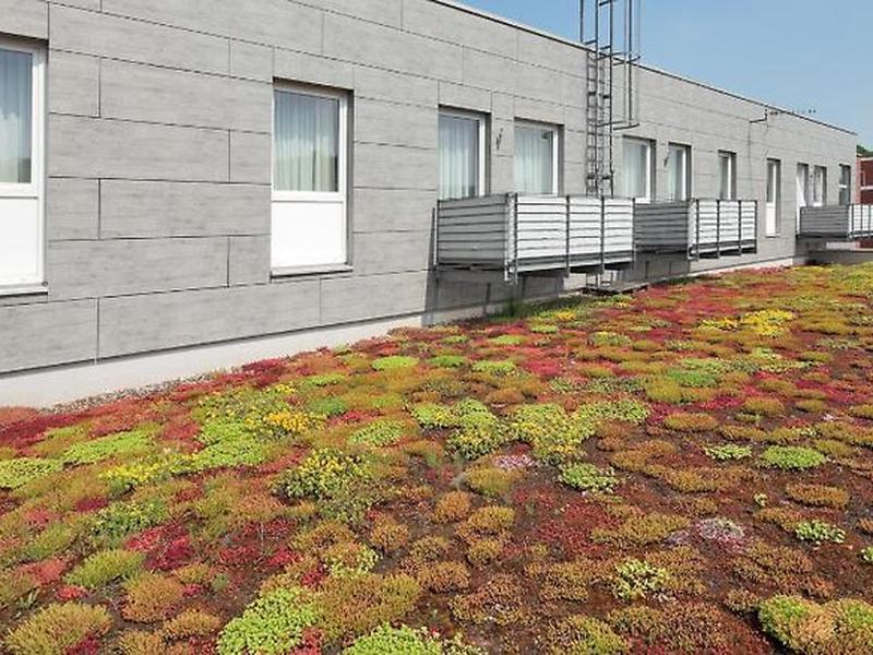 B3ECEED94ED20F714A83704F30AA81D1