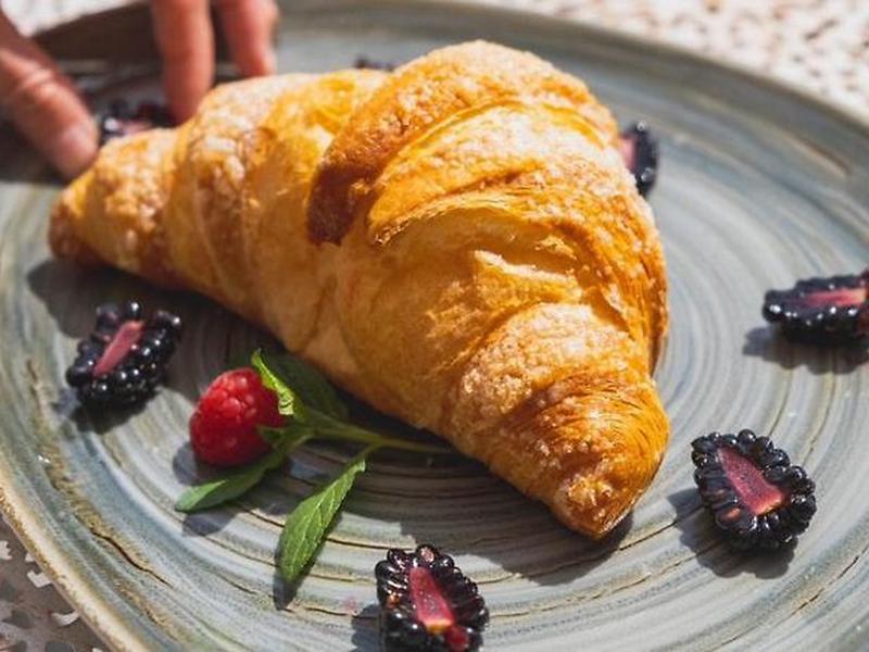 2176936B70E87BFC520111F5563A3980