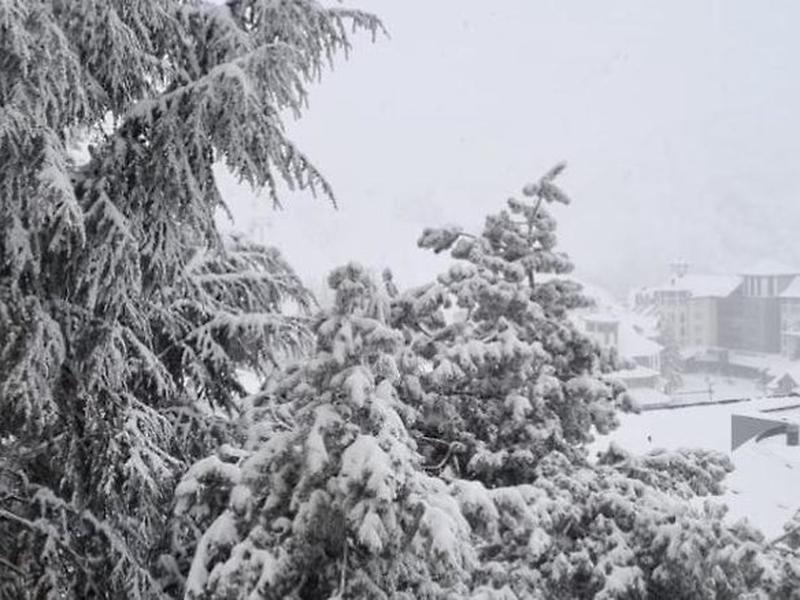 25CE3264787CC40453BB77F5C3F5B1E5