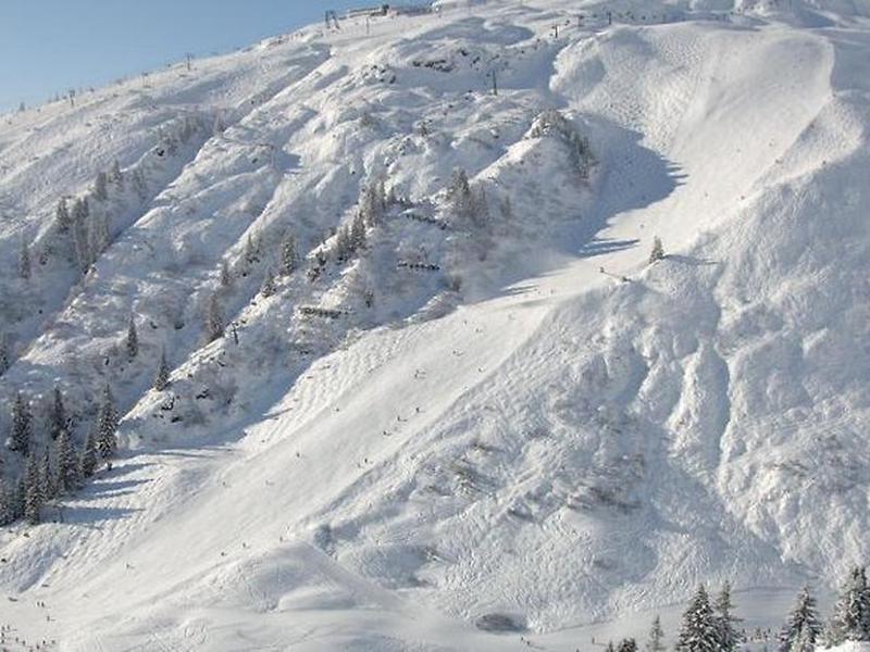 1AF94CC76B1E8BA91144658D39E2B67B