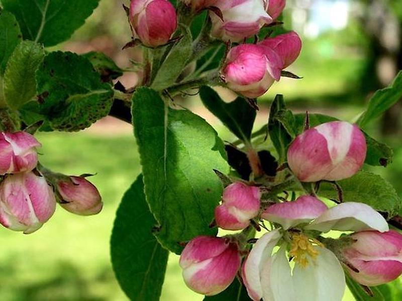 5C2090264EB6876073CE8BBAFA474797