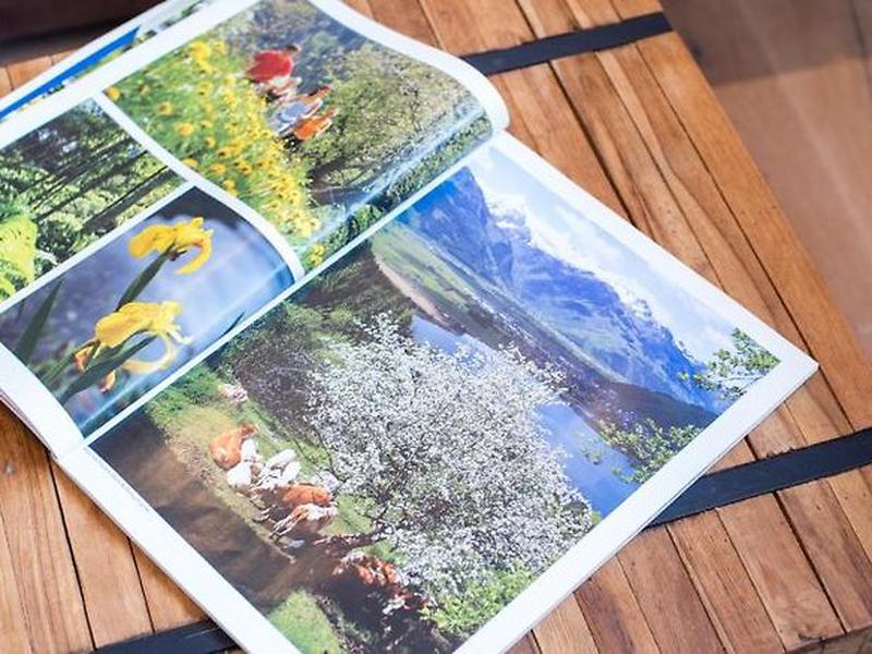 F6523665CE38A54BF455051C14DD4ADE