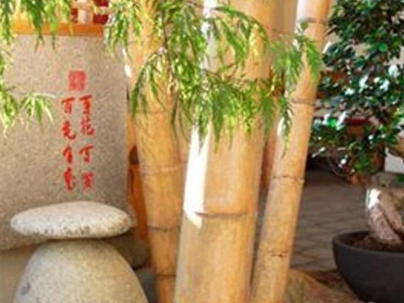 DDBF9799D206148CC55D1DF3E03357B1