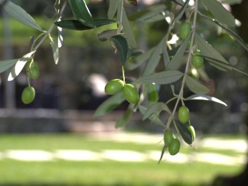 B3F7260460C7FD39838E767CB9DC5815