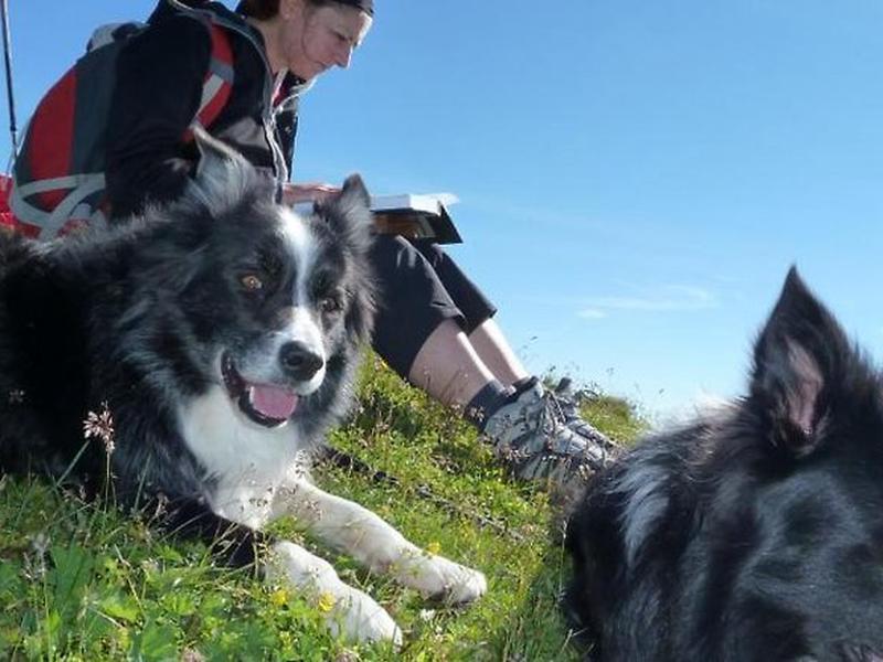 68F7A00E8FF89956463D29099FCC3928