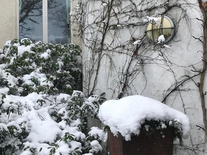 B89ACD4C649F6C2FA73368CB3570DCBD