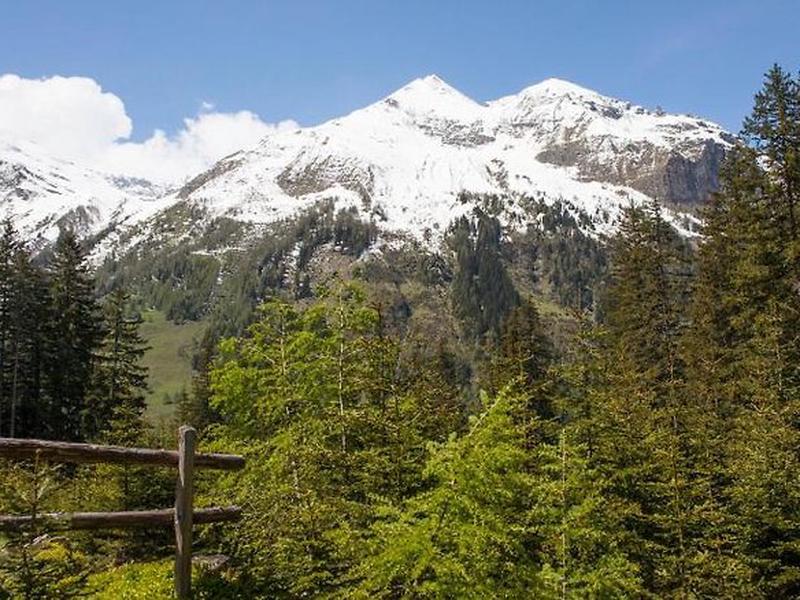 2D4811E4E259C37B8D2618BE6586AF7D