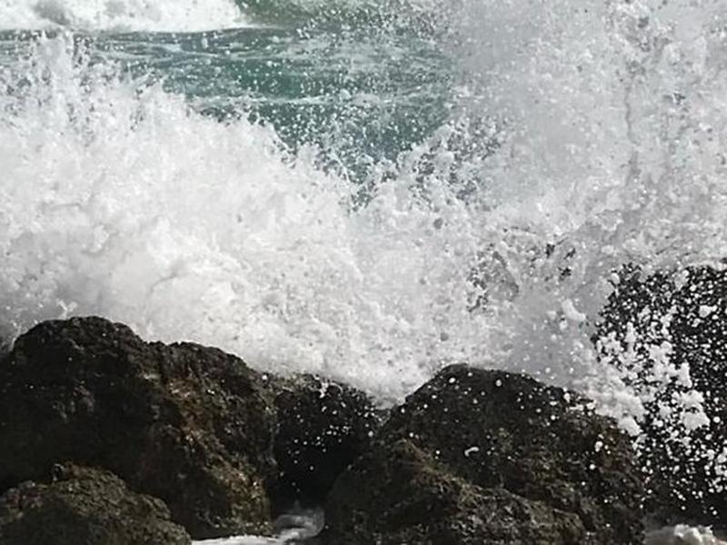 74935EEB4BF406434B99F5E5BFDE1780