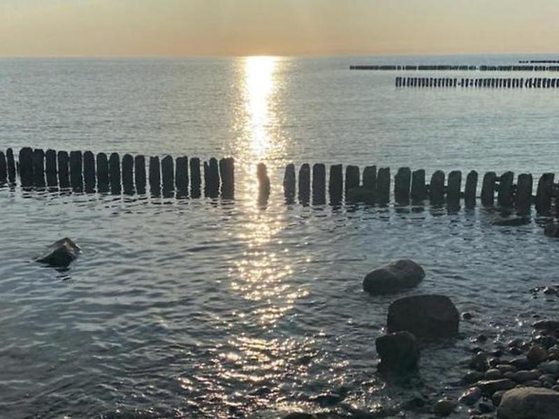 E099639DAB8BA7FCA4ECEB4CD4CAAF91