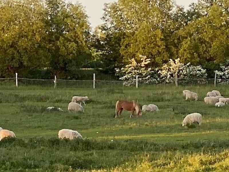 C9816A97C01A7A4BBA26753BB8A74842