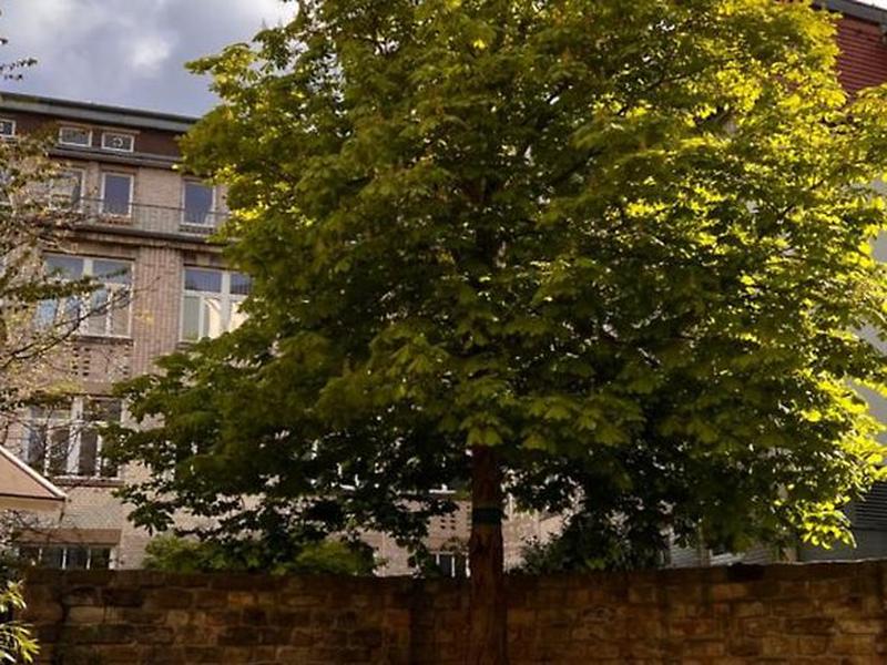 25A56658C1BCB3BAA33668F57AD73BA2