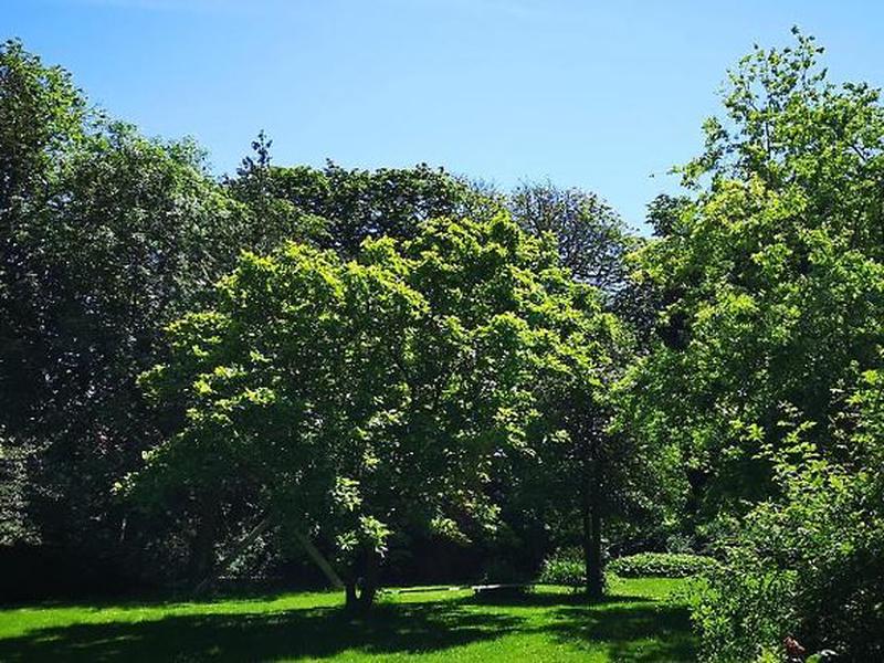 3A278B764998A59C86B3D34951554275