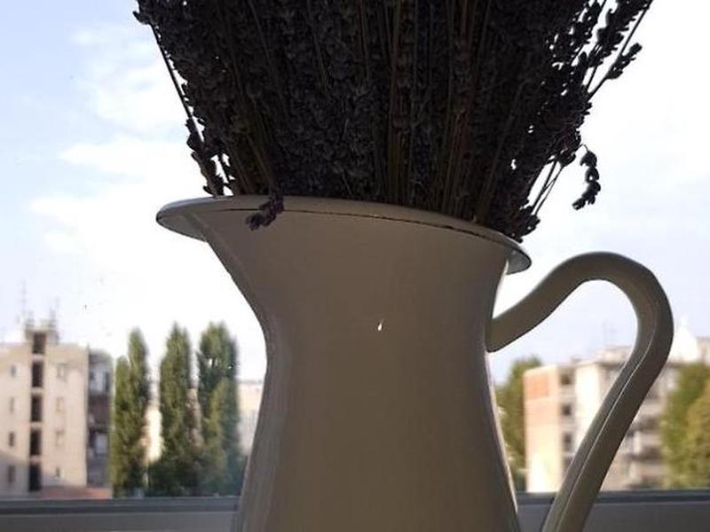 A5AB4AE3B5F92E1AE434A2D7129CE626