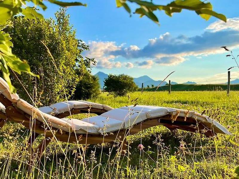 347DF4583263EC1ADF9632B69A7FA9FB