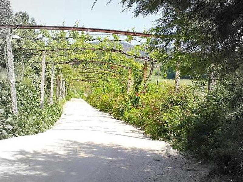 99C0FF50A7DEA8C8A205B397F41E68A6