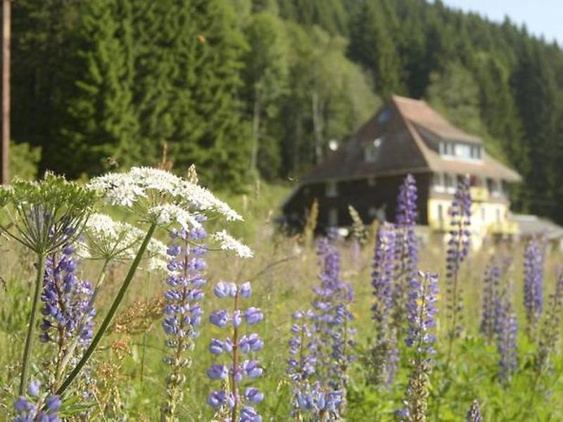 FD4563F043CA8A9C887282B4802E53B5