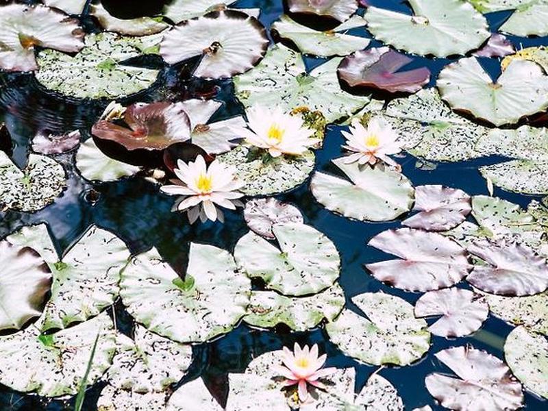 0B714DB57BDD234DC833FF1ED216E35E