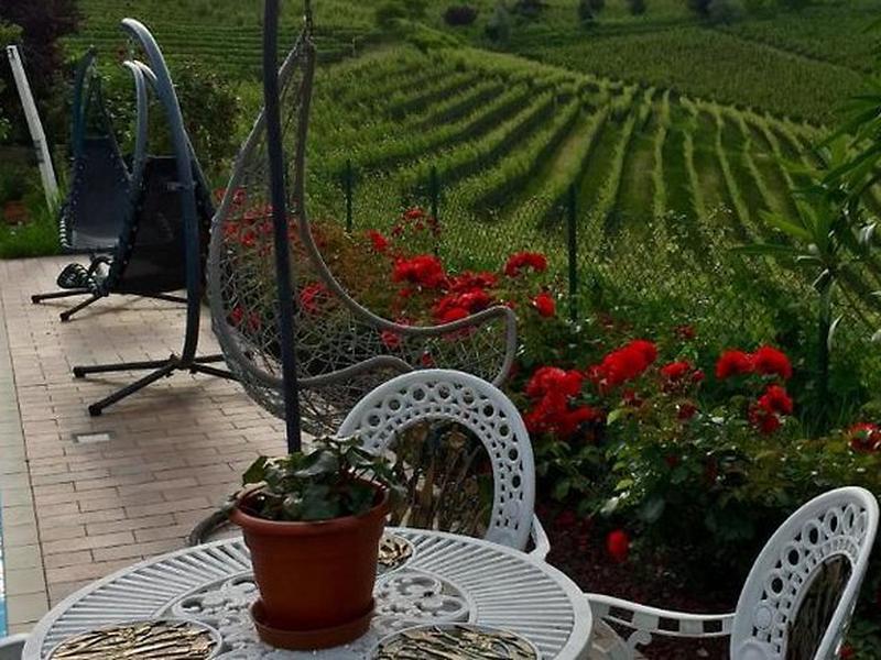 FE6E8562D22D5442D6BAE5E95829A61E