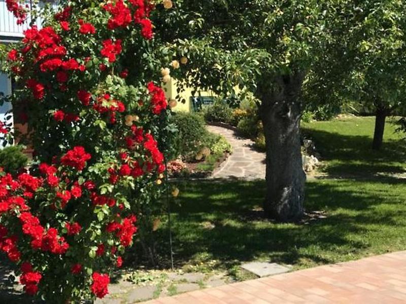 3CF94122F4A21B9626CA7FA55965D02C