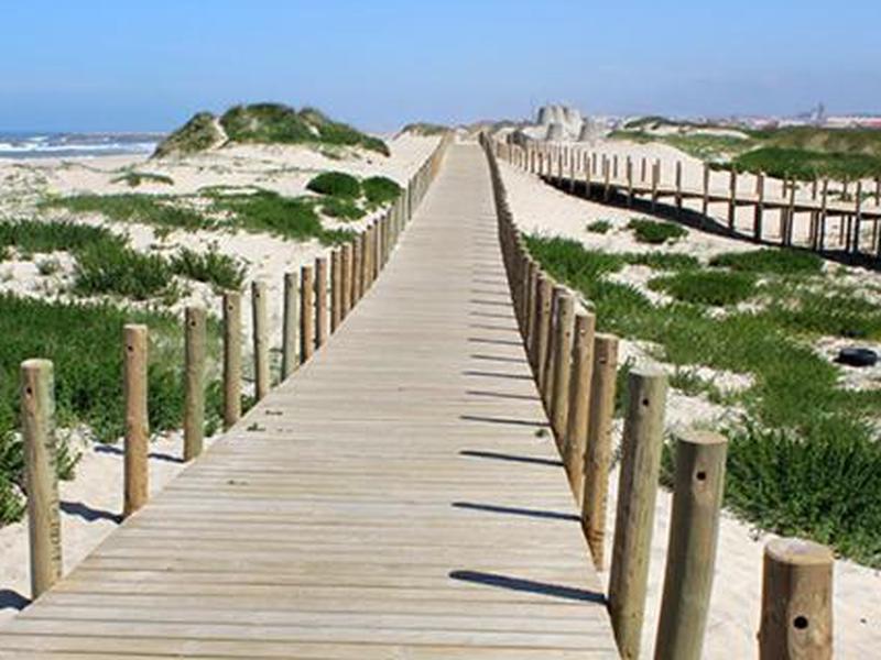 C312DBB4335C3A16AFD823168A207452