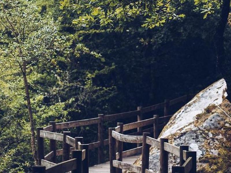 EA751AE3D9B2ACA3EC8346AB549DA0BD