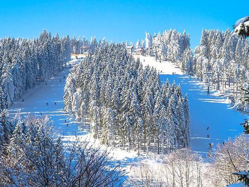 E9C7BAB4B3EB55A72706D4FF28BB615C