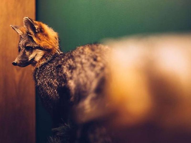 6F3D1E2ED03531E2799BAB3C41C811C8